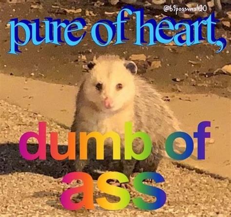 joseph quinn lpsg|Pure Of Heart. Dumb Of Ass. : Joseph Quinn Masterlist.